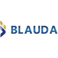 Blauda Co., Ltd. logo - Similar company to Vires Software
