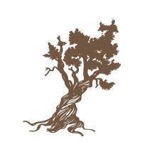 Aristata Financial logo - Similar company to Hall Financial Advisors