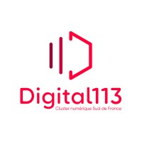 Digital 113 logo - Similar company to Mdp Data Protection