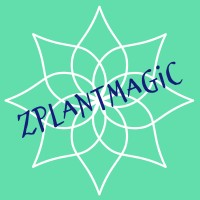 ZPlantMagic logo - Similar company to Uplift Florae