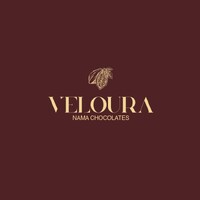 Veloura logo - Similar company to Mtc Travel Solutions