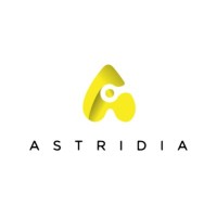 Astridia Global logo - Similar company to Queryfier Llc