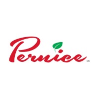 Pernice S.r.l. logo - Similar company to Eyemazing