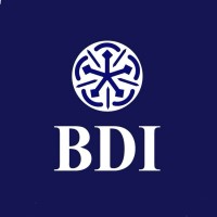 Bankers Development Institute Pakistan logo - Similar company to Bankers Development Institute - Bdi