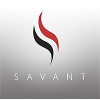 Savant One logo - Similar company to Chain Systems Inc