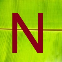 Nagasari As