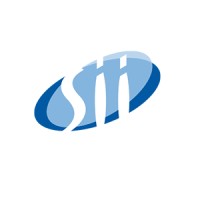 SII Group Netherlands logo - Similar company to Risa It