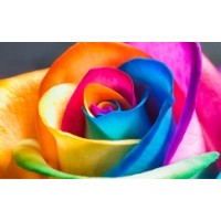 ThirdRock CRM logo - Similar company to Dallas Crm