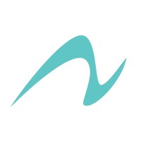 Nur International logo - Similar company to Net Is Back Srl