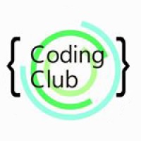 St. Robert Coding Club