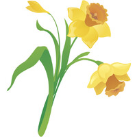 Daffodils Resources Private Limited logo - Similar company to Tref-It B.V.