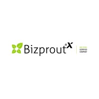 Bizprout Expert Systems Private Limited logo - Similar company to Solution Squares