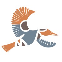 CMR Focus + Growth logo - Similar company to Functional Fluency International - Ffi