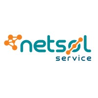 NetSol Service logo - Similar company to Uth Oye!