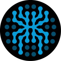 SpiderFoot logo - Similar company to Hunchly