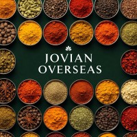 JOVIAN OVERSEAS logo - Similar company to Dvc Management