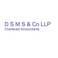 DSMS & Co LLP logo - Similar company to Tpnomics