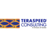 Teraspeed Consulting Group Llc