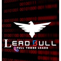 LeadBull LLC logo - Similar company to Dev Global