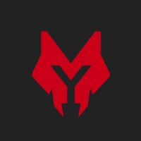 Meysso logo - Similar company to Winmill