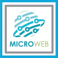 MICROWEB.sarl logo - Similar company to M.E.S Afrique Sarl
