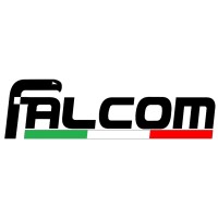 Falcom Servizi logo - Similar company to Grupo Fallcon