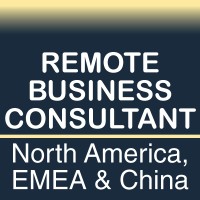 Remote Business Consultant logo - Similar company to Stratigia