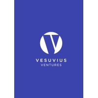 Vesuvius Ventures Limited logo - Similar company to Active Capital Ltd