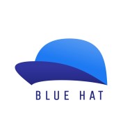 Blue Hat Co LLP logo - Similar company to Synetecs