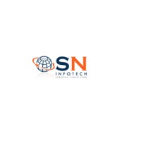 SN InfoTech logo - Similar company to Sn Infotech Services
