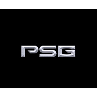 Perennial Sports Group logo - Similar company to Team Nilo