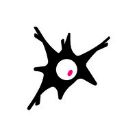 Neural Engineering Summer School logo - Similar company to Neural Engineering Lab