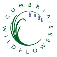 Cumbria Wildflowers logo - Similar company to The Bidbase