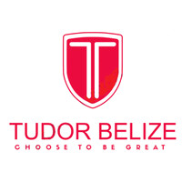 Tudor Consulting logo - Similar company to Bzwork