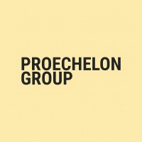 Proechelon Group logo - Similar company to 151 Capital Management
