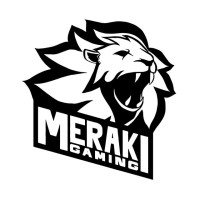 Team Meraki (Pty) Ltd