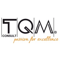 TQM HOLDING logo - Similar company to Pullega E Mattioli S.P.A.