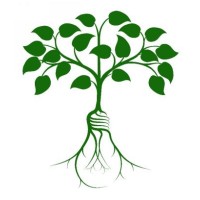 Woodland Consulting, LLC logo - Similar company to Lightwire