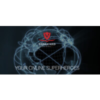 Vanguard Online Media logo - Similar company to Sidekick Content
