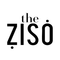 theZISO logo - Similar company to Breaking Good