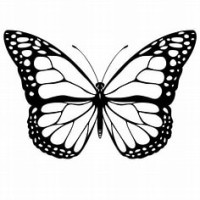 Butterflies Accounting logo - Similar company to Wcs - Bookkeeping Services