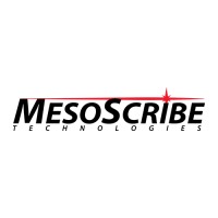 CVD MesoScribe Technologies Corporation logo - Similar company to Fluxteq