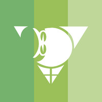 SFOG logo - Similar company to Arcagy-Gineco