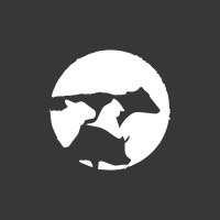 Frigorifico Cuatro Carnes logo - Similar company to Frigorífico Resbeef