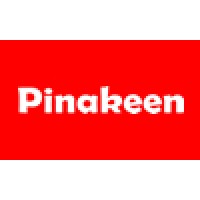 Pinakeen - ICIS Computers (I) Pvt. Ltd. logo - Similar company to Debug India Pvt Ltd