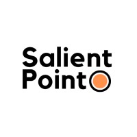 Salient Point logo - Similar company to Centerforce Usa