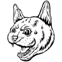 Cougardao Llc