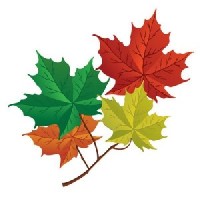 Canadian Forests Website logo - Similar company to Greenlink Forestry Inc.