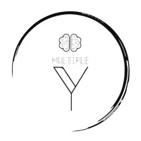 Multiple Y logo - Similar company to Ek Consulting