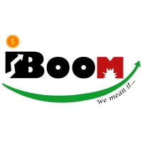 iBle Boom Services Private limited logo - Similar company to Drco Group